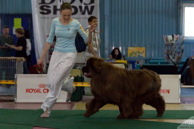 Фотография № 69674