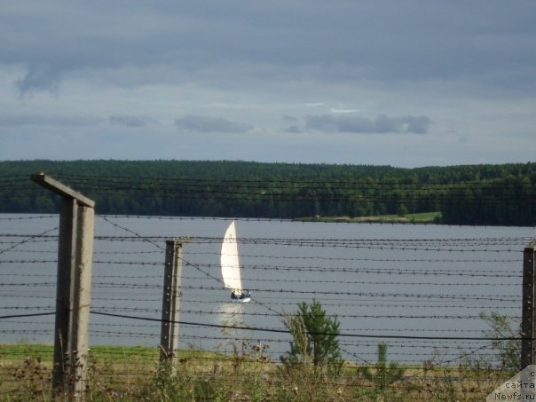 Фотография № 69684