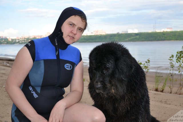 Фото: Diana Larina (Диана Ларина), ньюфаундленд Lesnaya Skazka Raskrasavica (Лесная Сказка Раскрасавица)