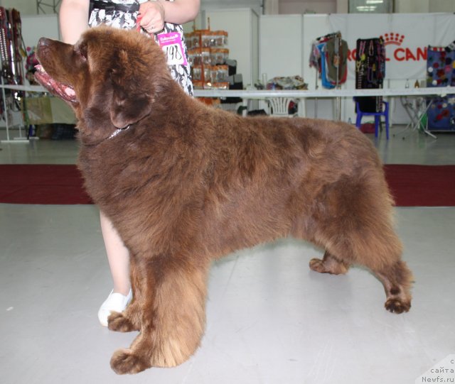 Фотография № 69740