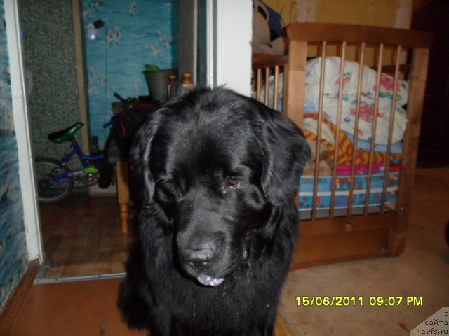 Фото: Ol'ga Zaharova (Ольга Захарова)