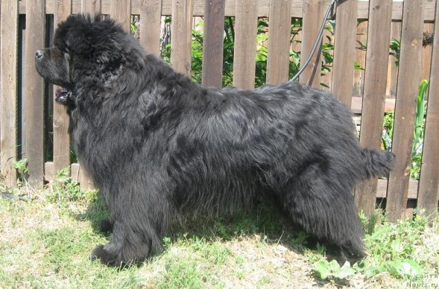 Фотография № 69785