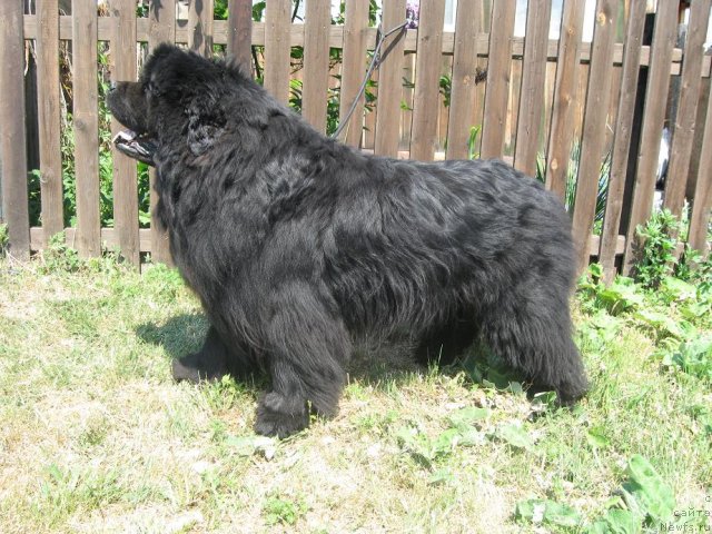 Фотография № 69793