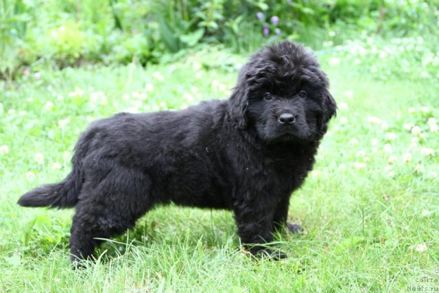 Фотография № 69794