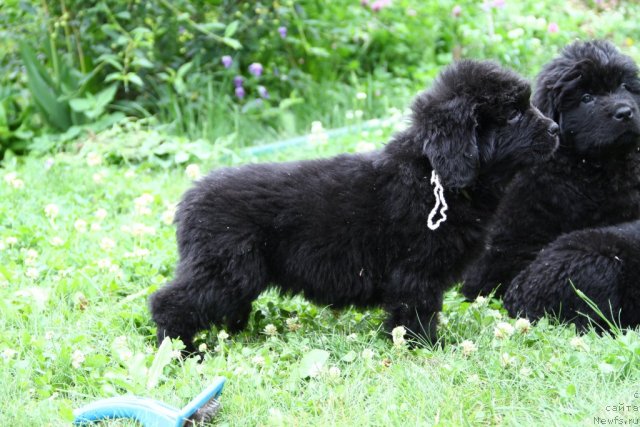 Фотография № 69795