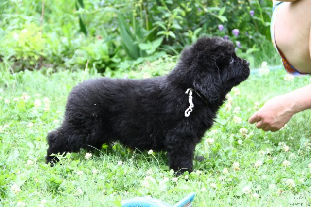 Фотография № 69796