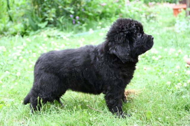 Фотография № 69798