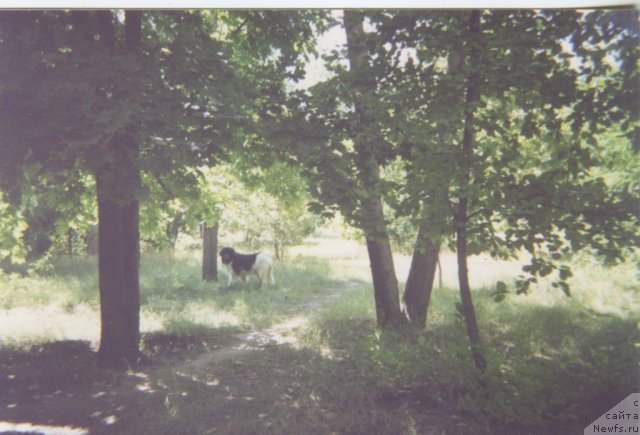 Фото: Кэрри (1991-2002 гг.)