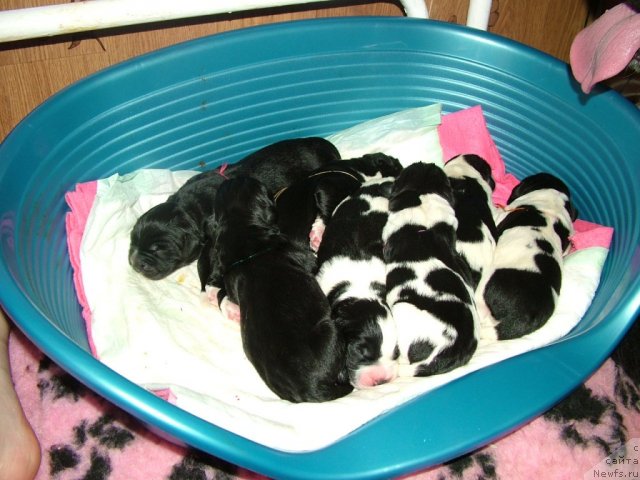 Фотография № 69934