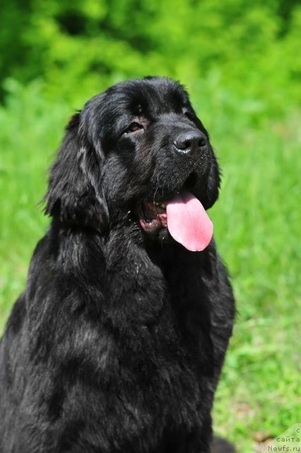 Фотография № 69939