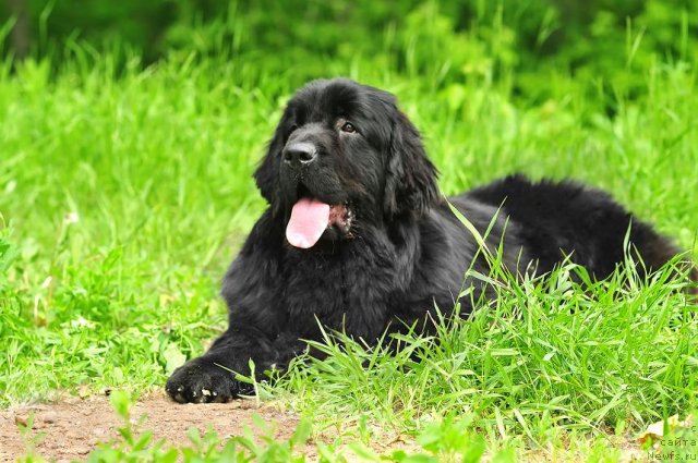 Фотография № 69940