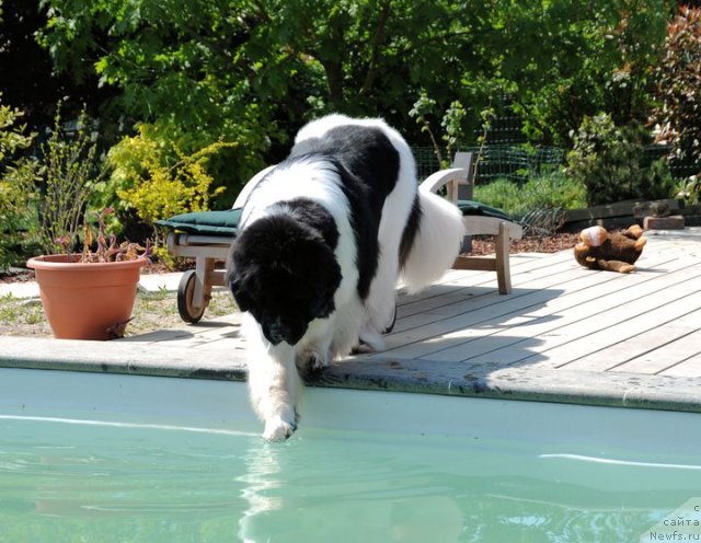 Фотография № 69950