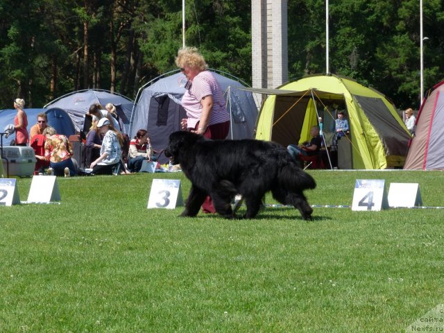 Фотография № 69966