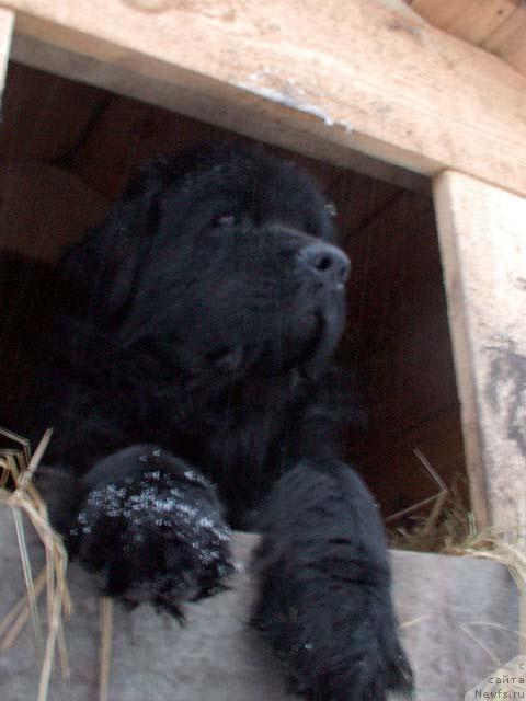 Фотография № 7