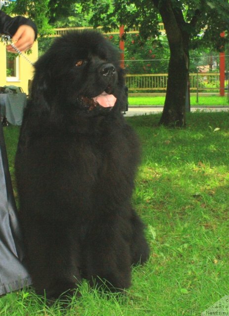 Фотография № 70056