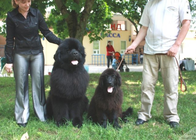 Фотография № 70060