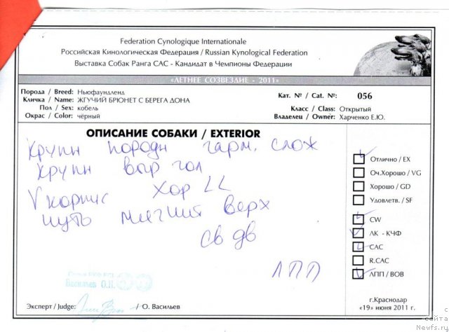 Фотография № 70061