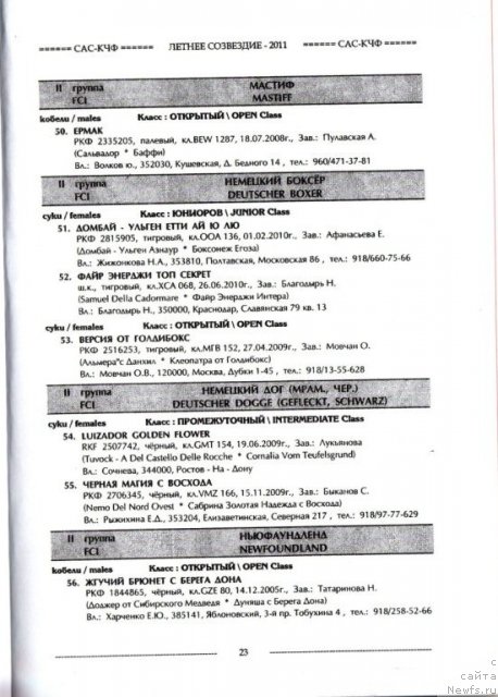 Фотография № 70062