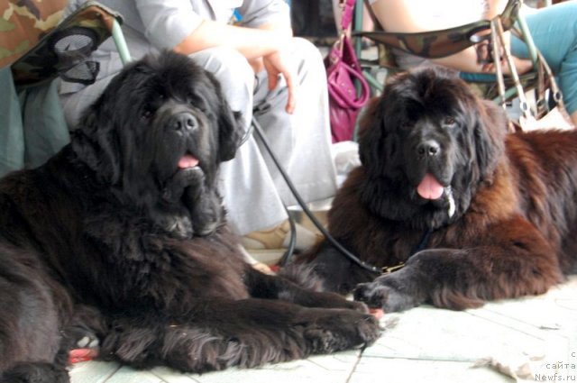 Фотография № 70080