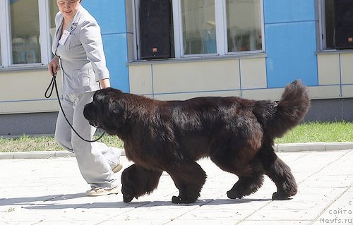 Фотография № 70081