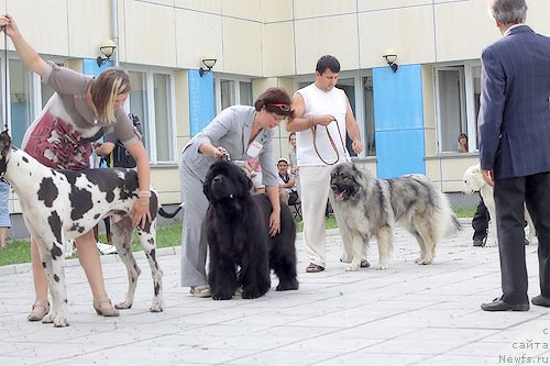 Фотография № 70084