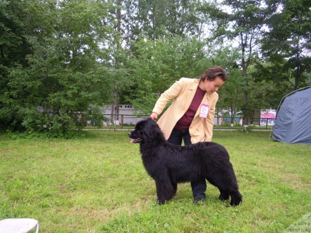 Фотография № 70085