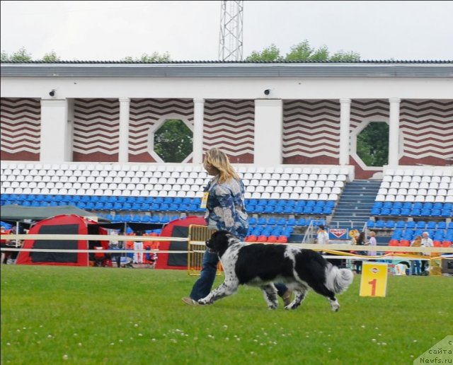 Фотография № 70095