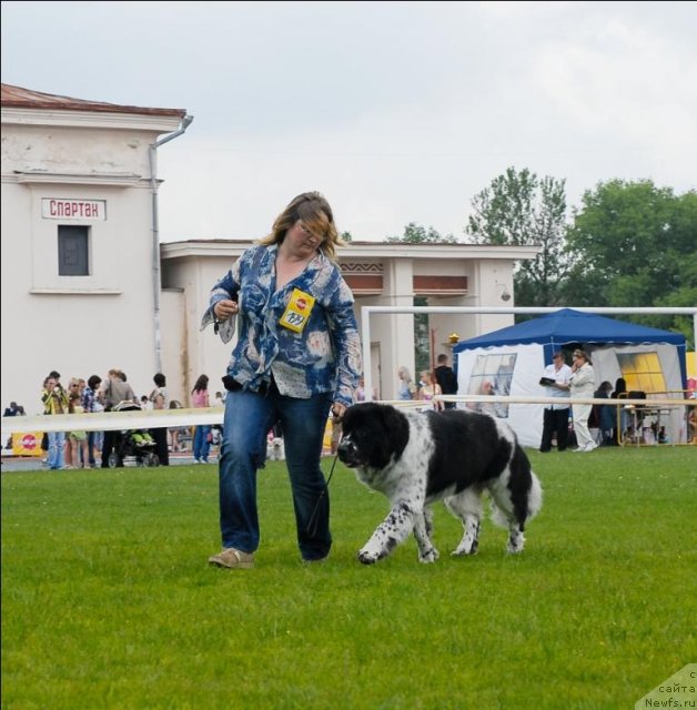 Фотография № 70097