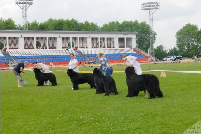 Фотография № 70098