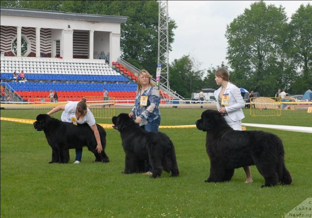 Фотография № 70099