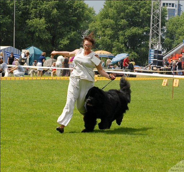 Фотография № 70101