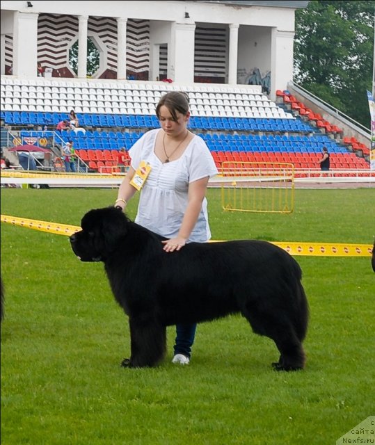 Фотография № 70103