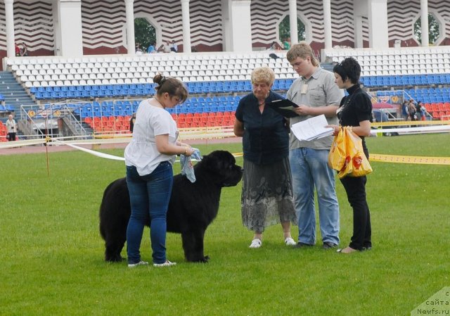 Фотография № 70105