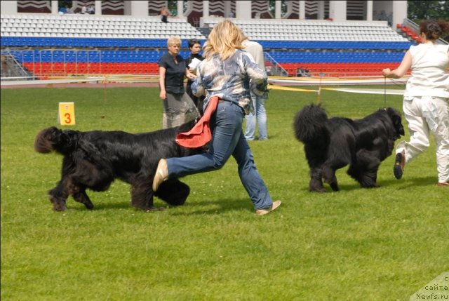 Фотография № 70108