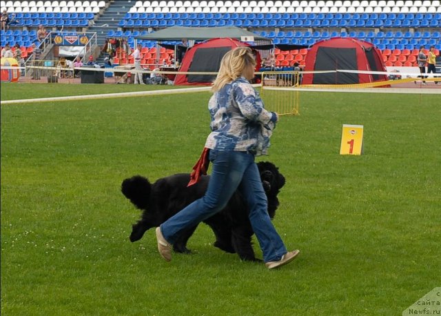 Фотография № 70109