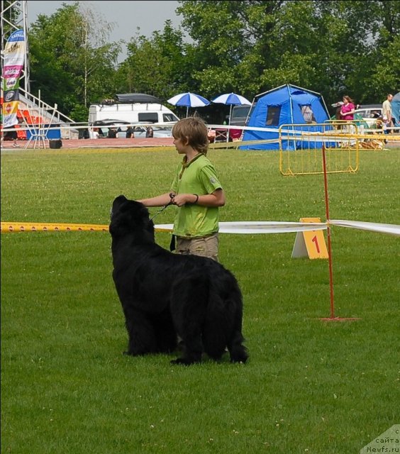 Фотография № 70112