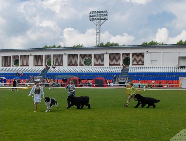 Фотография № 70114