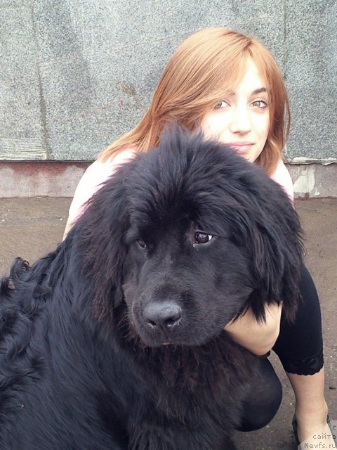 Фото: Черный Шарм Бетмен, Алина Борисова