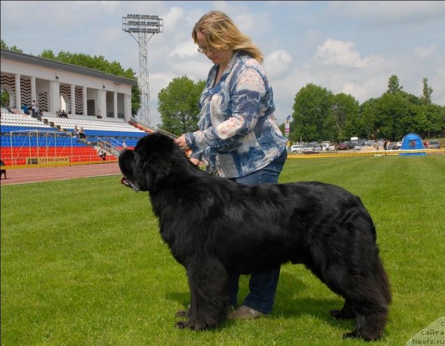 Фотография № 70120