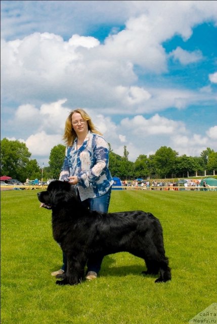 Фотография № 70124