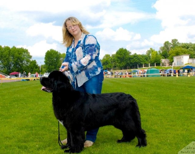 Фотография № 70125