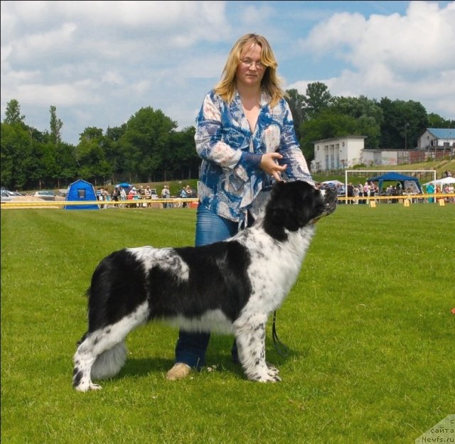 Фотография № 70129