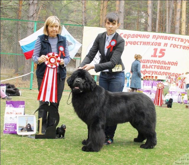 Фотография № 70151