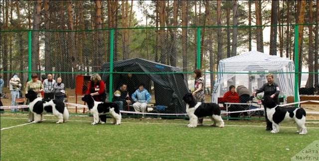 Фотография № 70169