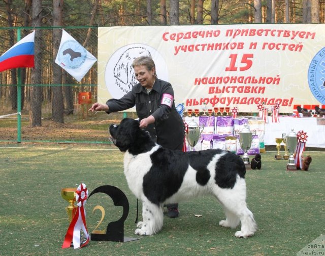 Фотография № 70174