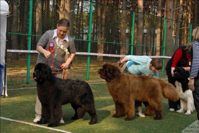 Фотография № 70194