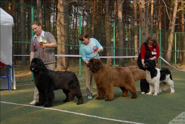 Фотография № 70195