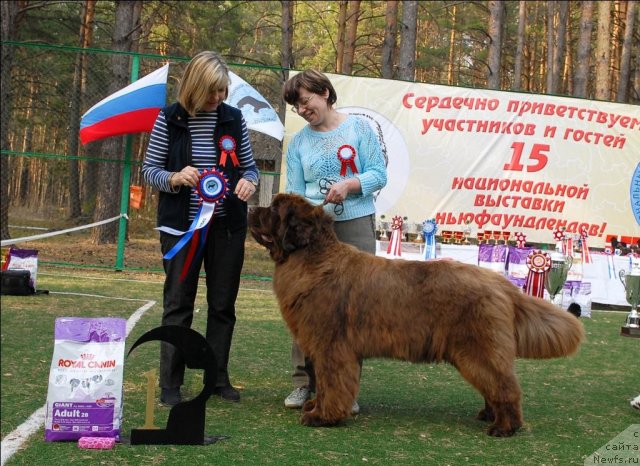 Фотография № 70199