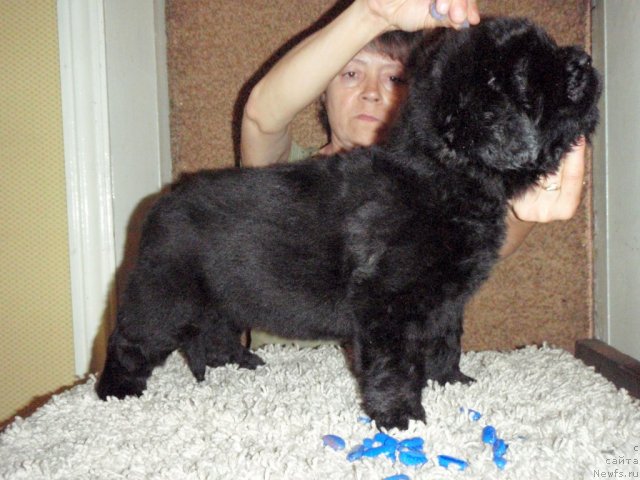 Фотография № 70221