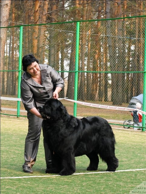 Фотография № 70227